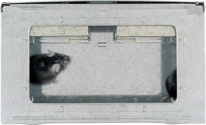 iTrap Multi-Catch Humane Mouse Trap with Clear Top | Repeater Mouse Trap for Home &amp Office | Set of 3 - iTrap-002-S4-3PK