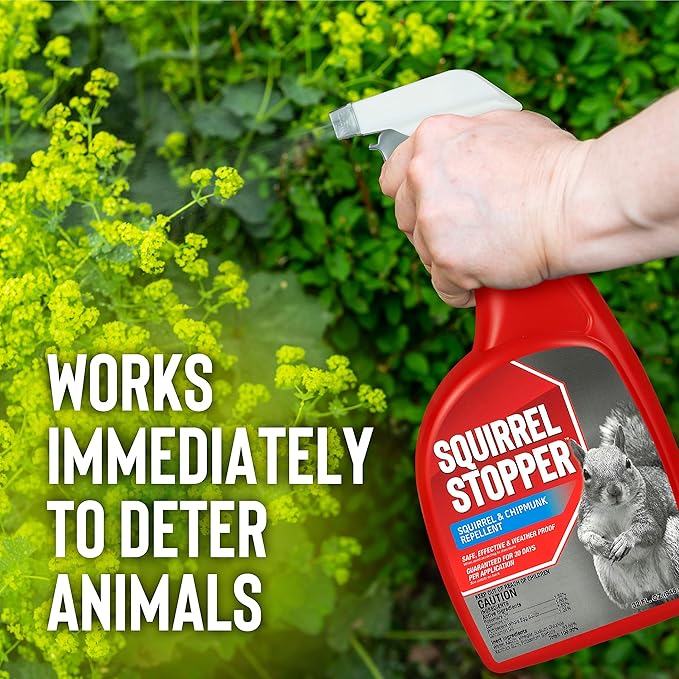 Squirrel Stopper Repellent Spray - Chipmunk &amp Squirrel Deterrent for Bird Feeders Garden &amp Homes - Weather-Resistant Formula - Scent Taste &amp Touch Barrier - Safe Around Kids &amp Pets -