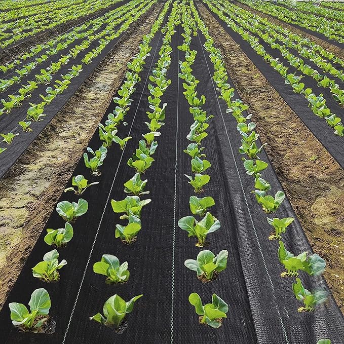 Ground Cover Membrane Weed Blocker Fabric 2ft Wide with Ground Nails and Gaskets for Erosion Control Landscape Fabric Weed Barrier (Color : WxL Size : 0.6x70m/2x229ft)