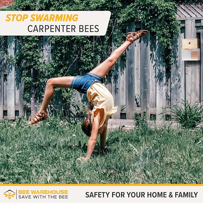 Carpenter Bee Trap - Wood Boring Bee Trap - Unique Catch &amp Release Outdoor Carpenter Bee Trap - Includes Hanging Hardware &amp 5 Bee Dams