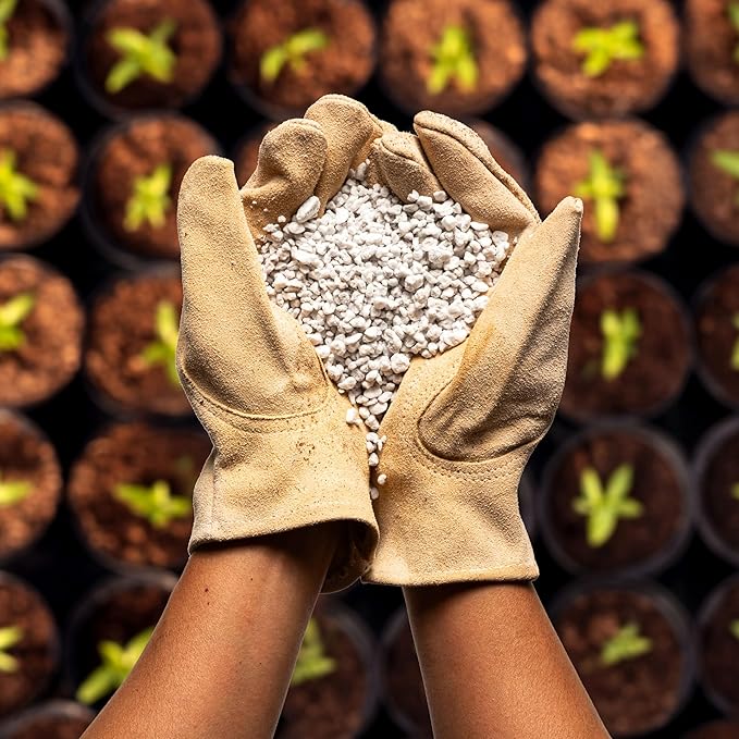 Perlite Bliss (24 Qts) + Vermiculite Bliss (24 Qts) - Perlite for Plants &amp Fine Vermiculite for Gardening - Bulk Soil Amendment Bundle - Organic Potting Soil Mix Improves Nutrient &amp Water Rete