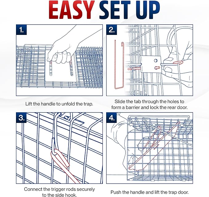 24 Humane Cat Trap for Stray Cats Collapsible Live Animal Cage for Feral Kittens Possum Raccoon Rabbit Armadillo Trap Catch and Release by LifeSupplyUSA