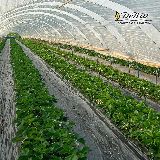 Dewitt 30 Year Professional Weed Control Fabric 3 oz Brown 3 x 100 Feet – Heavy-Duty Landscape Barrier and Ground Cover for Gardens Raised Beds Walkways and Outdoor Landscaping