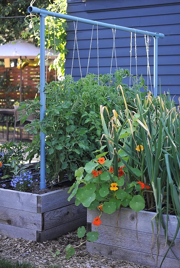 Seattle Urban Farm Company - Freyr Trellis - Vegetable Garden Trellis for Tomatoes Cucumbers Beans Peas and More