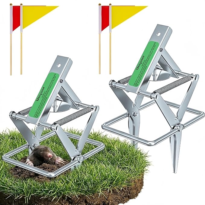 2 Pack Mole Traps That Kill Best Vole Traps Outdoor Use Scissor for Lawns Mole Trap Easy to Set Galvanized Steel Reusable Quick Capture Gopher