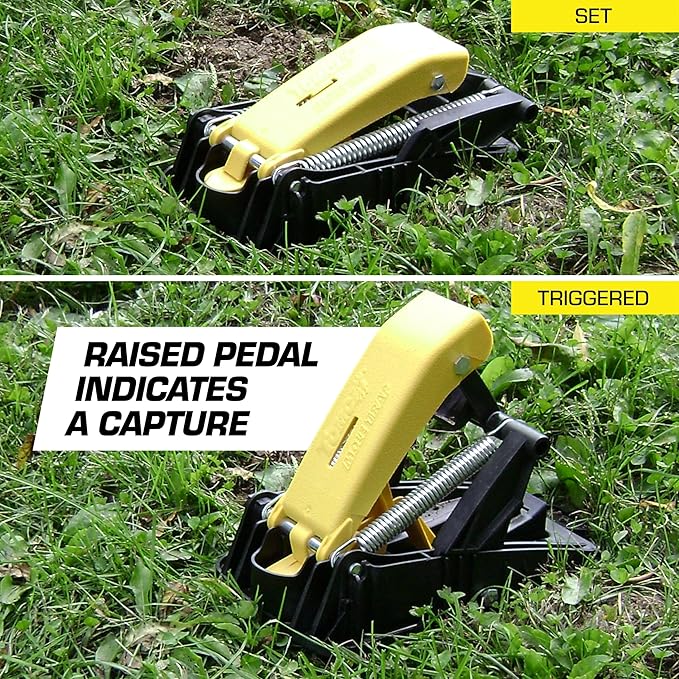 Tomcat Mole Trap Innovative and Effective Mole Remover Trap Kills Without Drawing Blood Reusable and Hands-Free 1 Trap