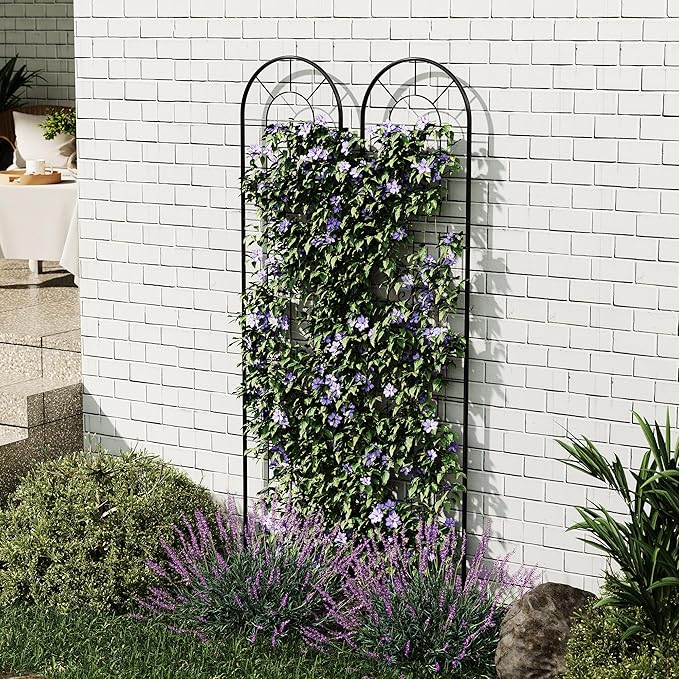 4 Pack 55.1x11.8 in Garden Trellises for Climbing Plants Sturdy Plant Trellises with Black Metal Coating Arched Outdoor Decoration for Patio Lawn Roses Vines Flowers and Vegetables