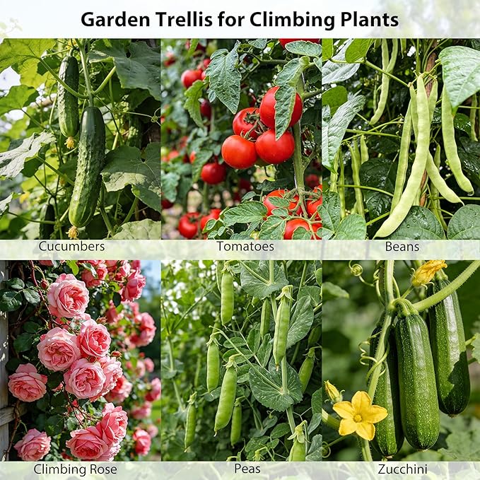 Miory Cucumber Trellis U Shape Trellis for Raised Bed Garden Arch Trellis for Climbing Plants Outdoor Plant Support for Vegetables Vines Steel with PE Coated (48 Lx32 Wx63 H)