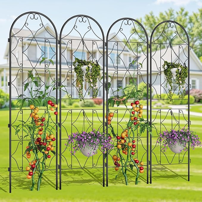 Garden Trellis for Climbing Plants74.8 x 21.6in Outdoor Climbing Rose Trellis2 Pack Decorative Clematis TrellisRustproof Metal Garden Flower Trellis for Patio Lawn Vines Flowers and Vegetables