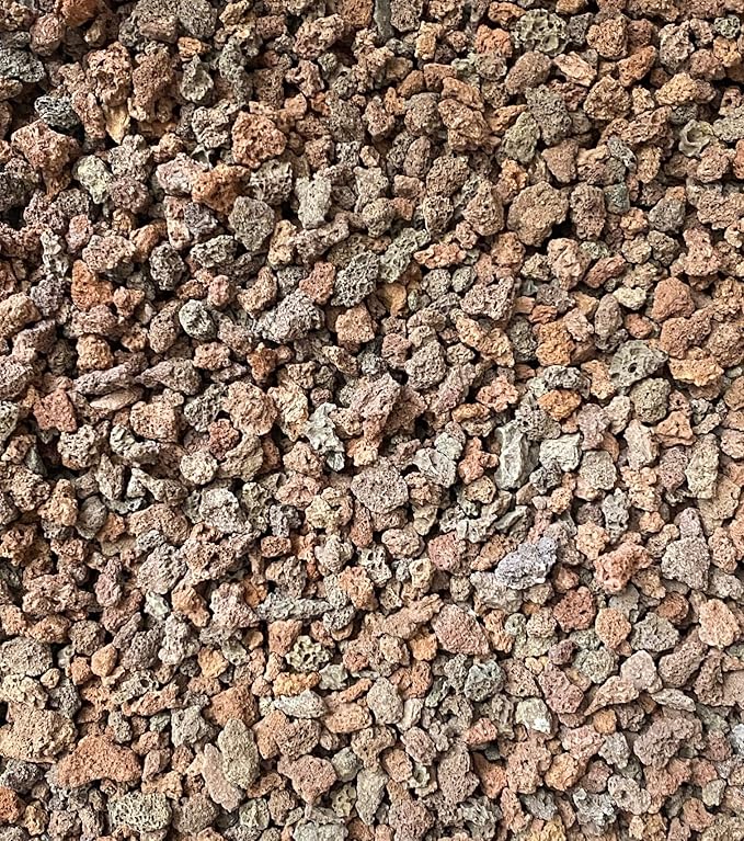 3 Gal. 3/8 Horticultural Red Lava for Cactus &amp Succulent Top Dressing Bonsai Tree Soil Mix - Medium Garin (3GAL R Lava M)