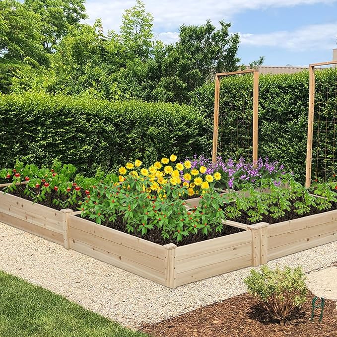 Oakcloud Outdoor 8ft Wooden Raised Garden Bed Planter Box Kit and 4 Garden Bed Fences for Vegetables Fruits Herb Grow Gardening