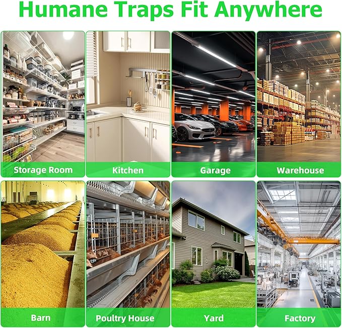 Humane Rat Traps 2-Pack No Kill Small Animal Cage Trap Live Mouse Trap Cage Catch and Release Trampa para Ratones Chipmunk Rodent Trap that Work for Indoor and Outdoor - 10.6 L x 5.5 W x 4.7 H