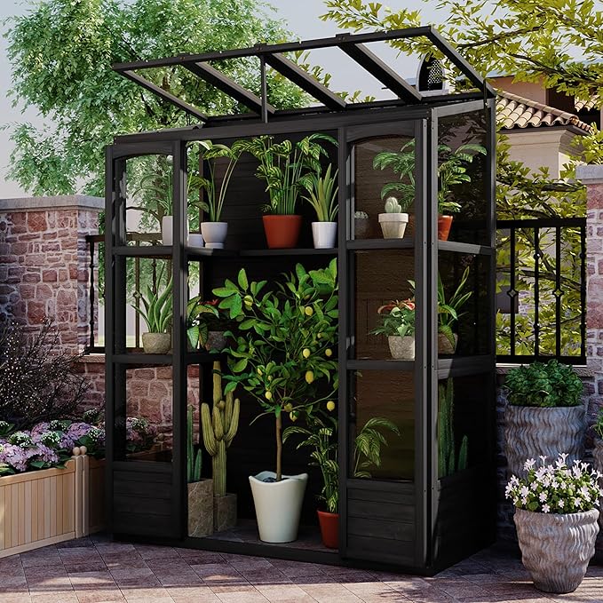 78inch Height Wood Large Greenhouse Cold Frame with 4 Independent Skylights and 2 Folding Middle Shelves Walk-in Outdoor Greenhouse for Backyard Mudroom (Black/78)