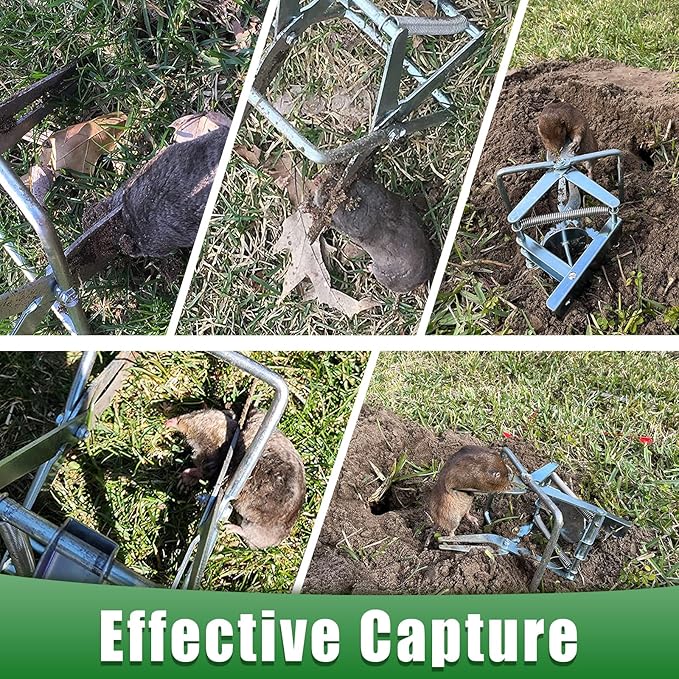 2 Pack Mole Traps That Kill Best Vole Traps Outdoor Use Scissor for Lawns Mole Trap Easy to Set Galvanized Steel Reusable Quick Capture Gopher