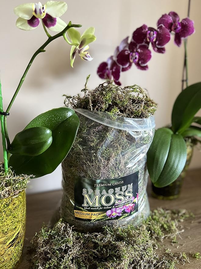 Organic Green Sphagnum Moss for Orchids Indoor and Outdoor Plants - Dried for Decorative Gardening (Medium Pack - 5 litres / 250 gr / 18 oz)