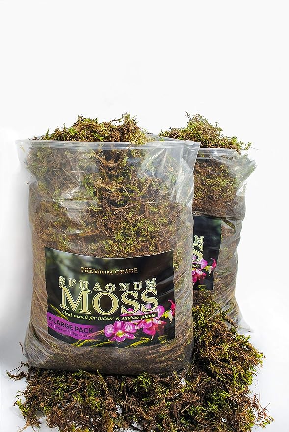 My Happy Snails Organic Green Sphagnum Moss for Orchids Indoor and Outdoor Plants - Dried for Decorative Gardening (X-Large Pack (2 Bags) - 25 litres /1250 gr/ 88 oz)