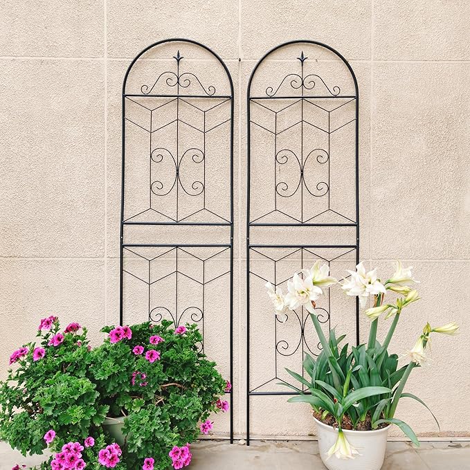 2 Pack Metal Garden Trellis 71 x 19.7 Rustproof Trellis for Climbing Plants Outdoor Flower Support Black-63