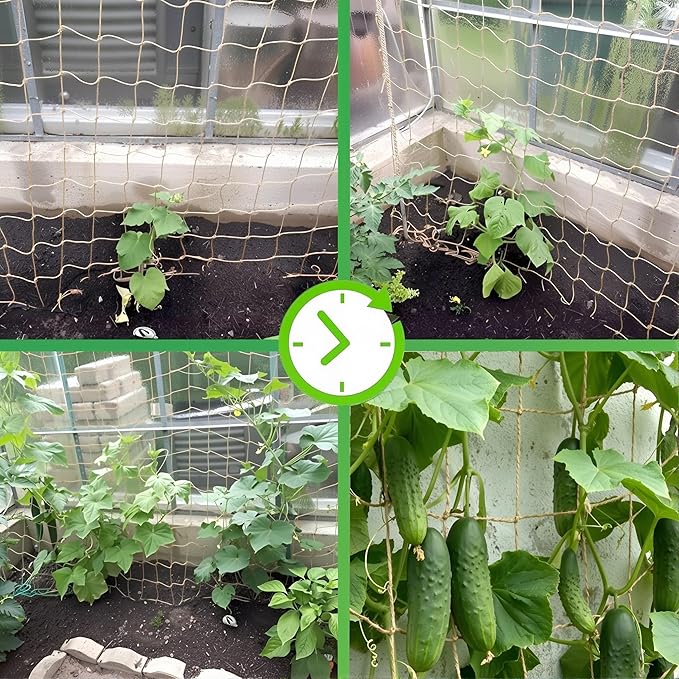 Jute Netting for Climbing Plants Trellis Netting for Garden Heavy Duty Plant Support Netting for Cucumber Vine Fruits &amp Vegetables Tomato Plants Trellis Net (6.6 x 32.8 Ft 5.9 Inch Squares)