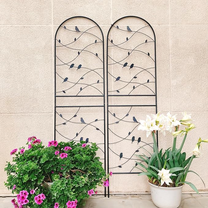 2 Pack Metal Garden Trellis Rustproof Garden Arbor for Climbing Plants 71''H x 19.7''W Powder Coating Arch for Vegetables Flower Bird Pattern Decor (Black 71''H)