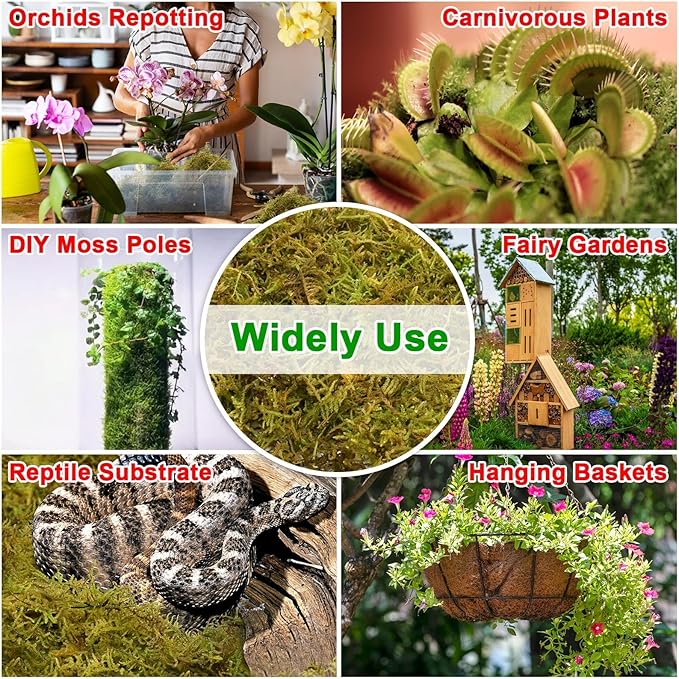 Halatool 3.3LB Green Forest Natural Sphagnum Moss for Plants - Fluffy Orchid Moss for Repotting Dried Plant Moss for Indoor &amp Outdoor Potted Plants