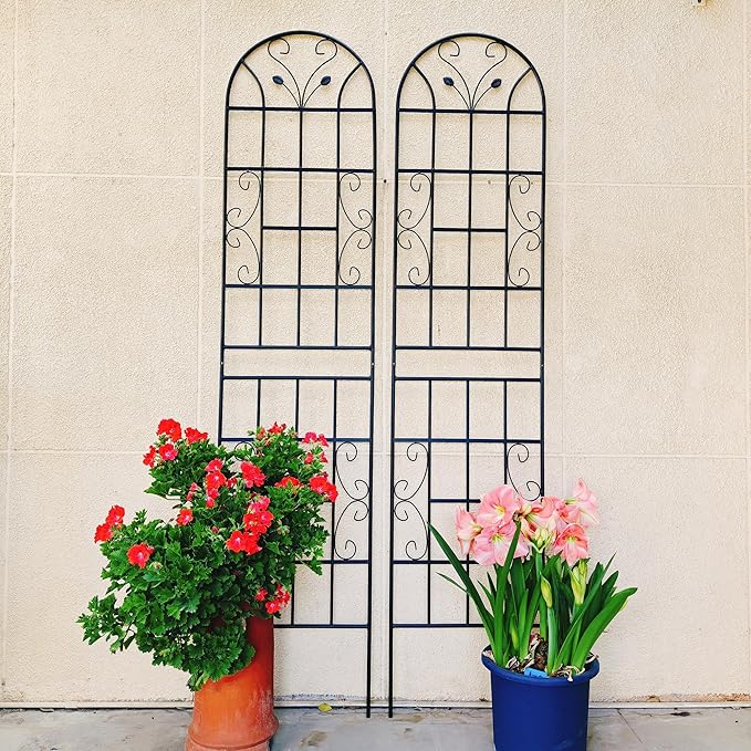 2 Pack Metal GTr86.7 x 19.7 Rustproof for Climbing Plants Outdoor Flower Support Black FA795
