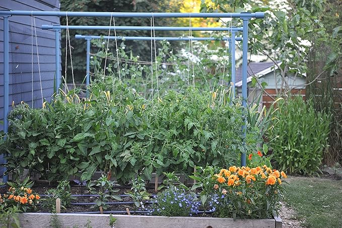 Seattle Urban Farm Company - Freyr Trellis - Vegetable Garden Trellis for Tomatoes Cucumbers Beans Peas and More