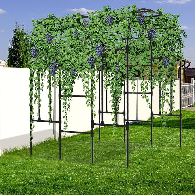Trellis for Climbing Plants Outdoor - Size of The Grape Vine Trellis: 71 * 69 * 79 inch - Cucumber Trellis for Raised Bed Garden Trellis for Climbing Plants Cucumber Vegetable Tomato