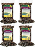Gardenera Monstera Dubia Soil Blend - Perfect Formulation for Optimal Growth and Development - 20 Quart