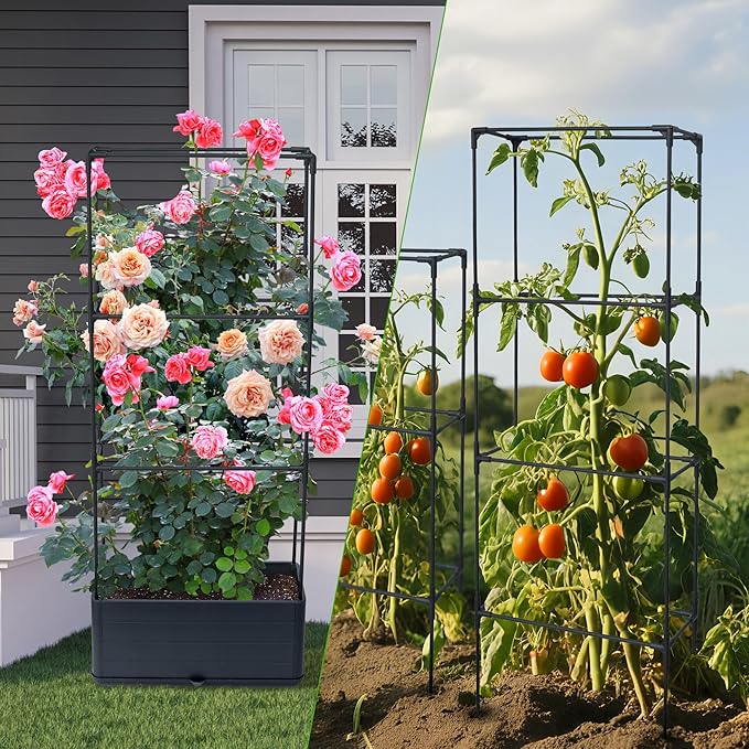 2 Packs Raised Garden Bed Tomato Planter Box with Trellis 43.4 Self-Watering Tomato Cage with Rectangular Trellis for Climbing Plants Flowers Vegetables Vine in Patio Garden Indoor Outdoor