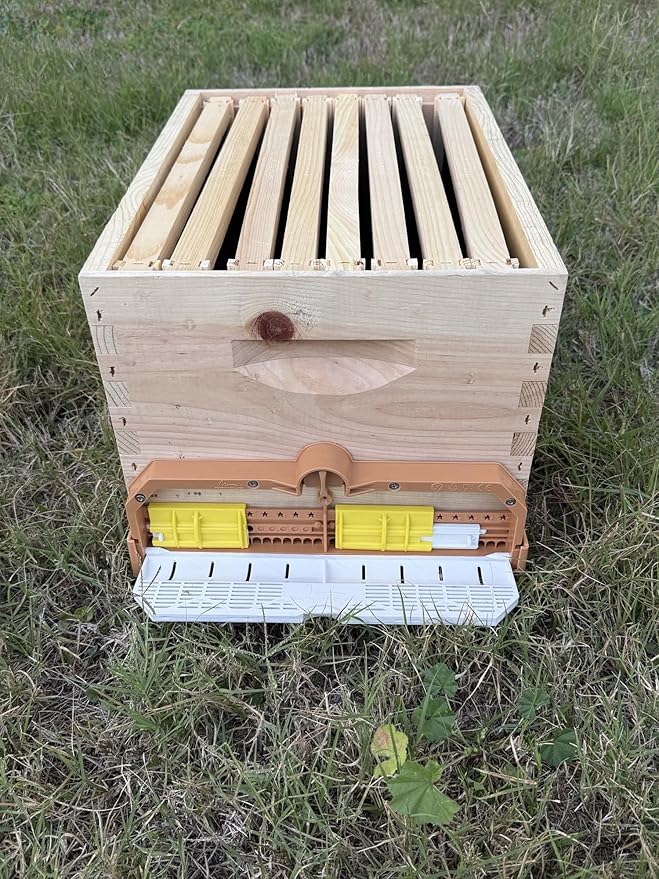 [New] Apimaye 8 Frame Screen Bottom Board with Bottom Tray &amp Pollen Trap