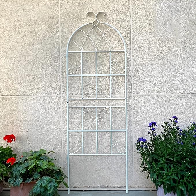 59x20″/71x20″ Metal Garden Trellis Decorative Climbing Plant Fence Freestanding Garden Trellis Plant Support Frame for Tomatoes Vegetables Flowers Fruits (Color : Black Size : 180x50cm)
