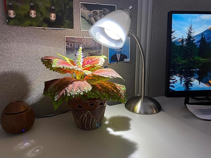 Miracle LED 6.5KK Indoor Grow Light Bulb – 6500K Full Spectrum Grow Bulbs for Vegetables Herbs Hydroponics. (2-Pack)