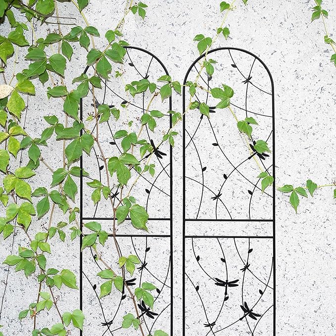 4 Pack Large Garden Trellis Heavy Duty Rustproof Iron Plant Trellis for Potted Plant Support Metal Climbing Rose Trellis Vine Vegetable Cucumber Black -86 H x 19.7 W