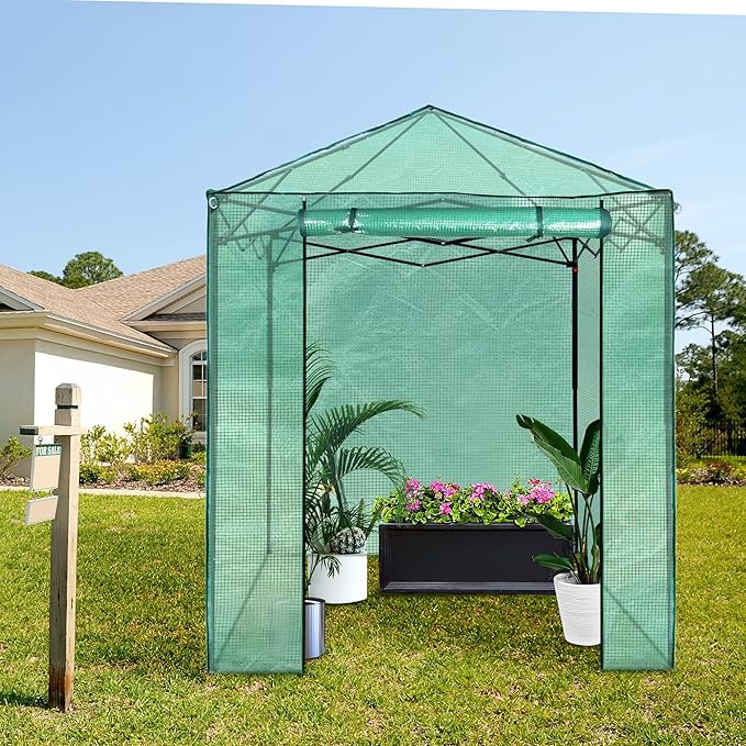 PexFix 6'x 5' Portable Walk-in Greenhouse Easy Setup Indoor/Outdoor 2 Roll-Up Mesh Windows Roll-Up Zipper Door Green