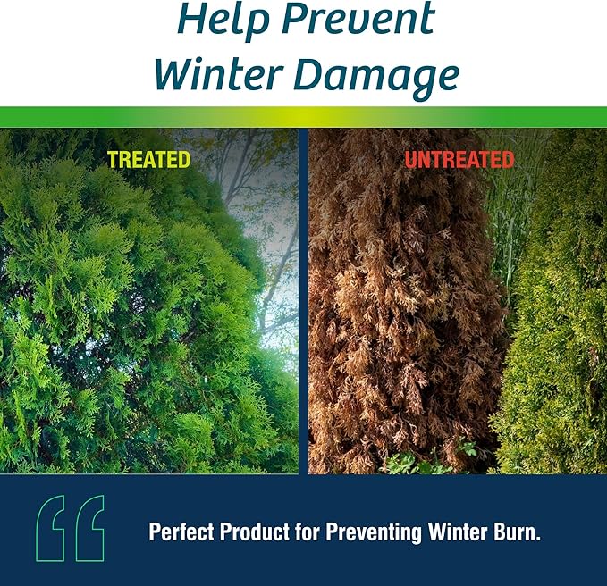 Wilt-Pruf® Concentrate | Protect Against Winter Damage Drought and Stress | Just Spray &amp Let Dry | Locks in Moisture w/Clear Foliar Film | Professional-Grade &amp Trusted | Replaces Burlap | (1