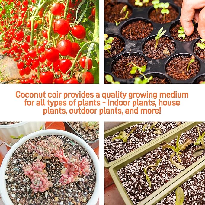 Coco Coir Brick for Plants- 27 Pack Coconut Coir Bricks Premium 100% Organic Peat Moss Mix with Low EC &amp pH Balance Fiber Coconut Husk for Planting Gardening Potting Soil Substrate