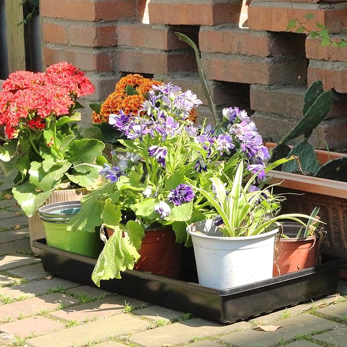 Gardzen 10 Pack Seed Trays Reusable Plant Grow Trays Ideal for Seed Starting Microgreens Indoor Gardening and Greenhouse Plant Nurseries - No Drain Holes 20x10