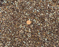 Cali-Bon Premium Mixed Akadama Cactus &amp Succulent Soil with Coarse Sand Green Zeolite Maifan Stone and Red Lava - Small Grain (3 Gal.)