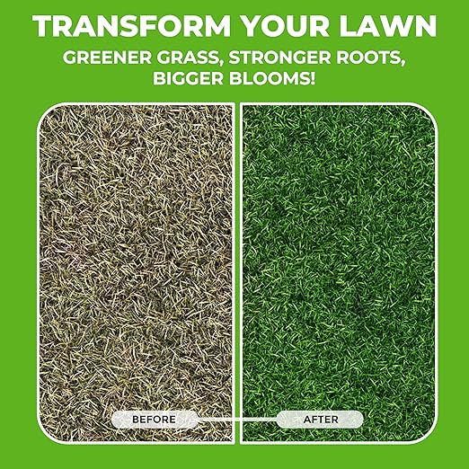 Covington Liquid Lawn Aerator (1 Gallon) – Soil Conditioner &amp Softener for Lawns &amp Gardens – Loosens Clay &amp Compacted Soil for Better Water &amp Nutrient Absorption – Liquid Aeration Conc