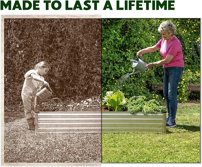 Plant &amp Plot Galvanized Raised Garden Beds Outdoor // 8×4×1 ft Planter Raised Beds for Gardening Vegetables Flowers (Silver) // Large Metal Garden Box // Patented Tool-Free Design