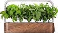 EDN SmallGarden with Basil SeedPods Indoor Grow Smart Garden for iOS Devices - Fresh Home Grown Herbs Plants and Flowers - Grow up to 10 Different Plants at Once