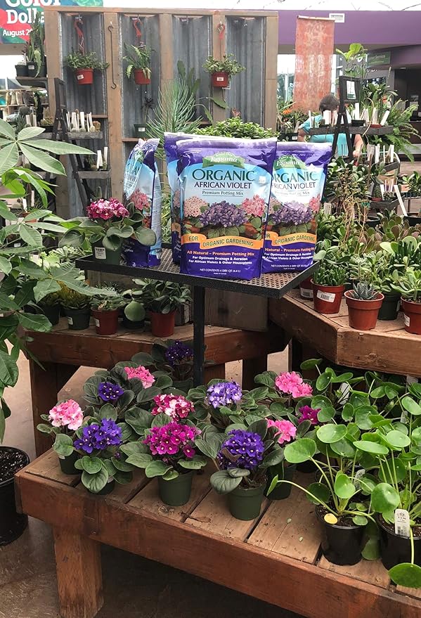 Espoma African Violet Potting Mix Natural &amp Organic Premium Soil 4 qt Pack of 12