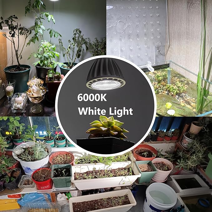 Hook Mounted Plant Light Full Spectrum 6000K 25W White Light Timing Plug in Cord Industrial Style Goose Neck Wall Lamp for Flowers Growing Indoor Plants