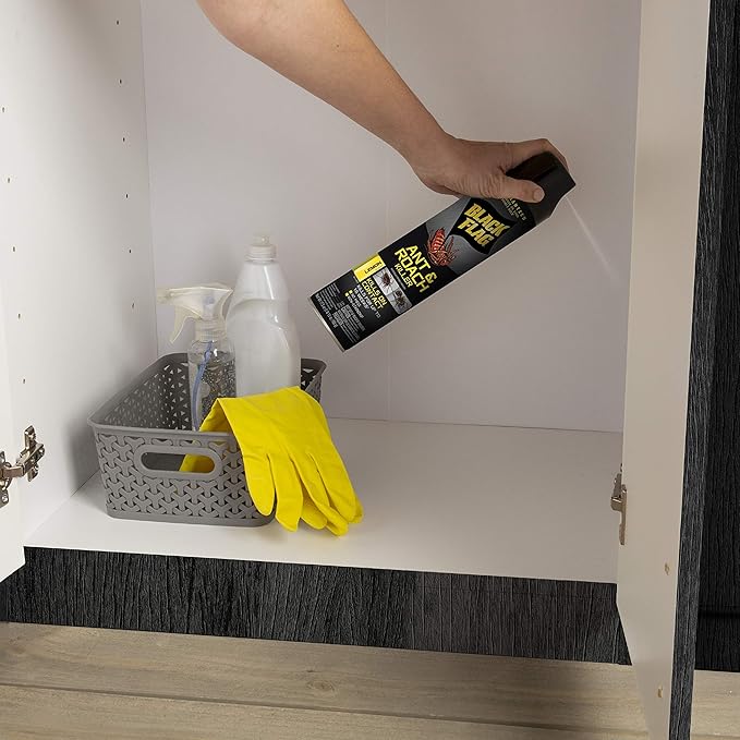 Black Flag Ant &amp Roach Killer Aerosol Lemon Scent 17.5-Ounce 12-Pack