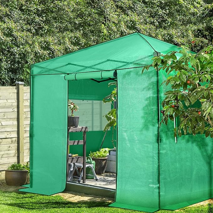 EAGLE PEAK 8x8 Portable Walk in Greenhouse Pop Up Indoor Outdoor Greenhouse Green House Kit with Zippered Roll-Up Doors and Windows PE Cover Clear/Green