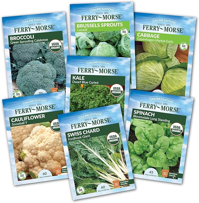 Jiffy Plant Germination Kit - Greenhouse Starter Kit Lightweight GMO Free - 72 Cell 2 Pack - Peat/Plastic