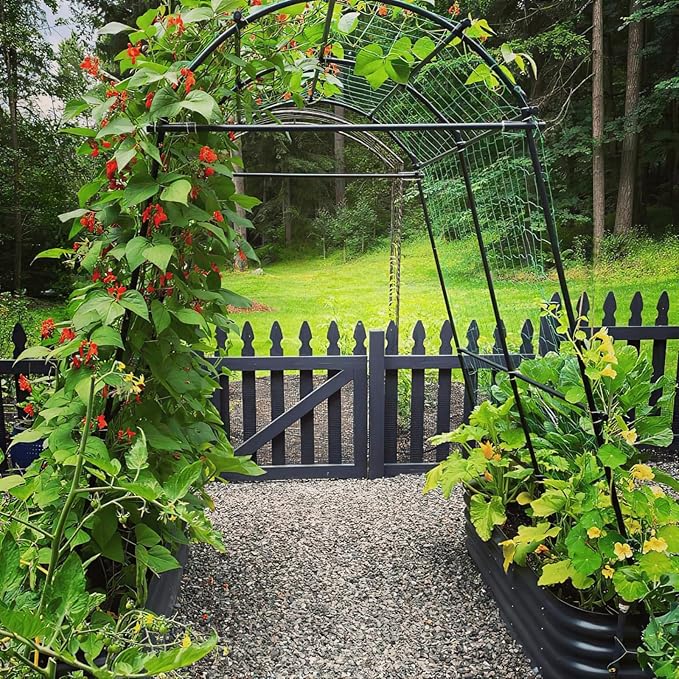 Garden Arch Trellis 7FT Extra Tall Polyethylene-Coated Stainless Steel Garden Trellis for Climbing Plants Outdoor Garden Trellis Arch for Cucumber Trellis | Gardening Trellis with Clips (Black)
