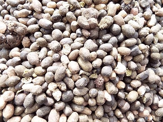 Organic Dried Sheep Manure - 5 Pounds