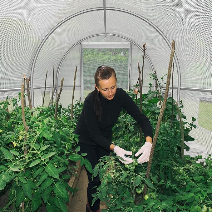 YITAHOME 10x6.5x6.5ft Greenhouses Large Walk-in Green House Heavy Duty Tunnel Green Houses Outdoor Portable Plant Gardening Upgraded Galvanized Steel Frame Zipper Doors 5 Crossbars Garden White