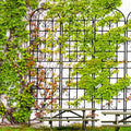 Garden Trellis 2 Pack Metal Garden Trellis 86.7 x 19.7 Rustproof Trellis Outdoor Trellis for Climbing Plants Outdoor Flower Support